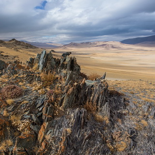 Altai